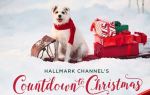 It’s the Most Wonderful Time of the Year – For Hallmark Christmas Movies